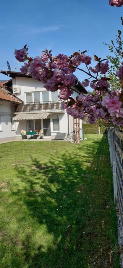 Apartmaji Mojca Криже Экстерьер фото
