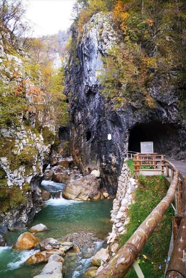 Apartmaji Mojca Криже Экстерьер фото